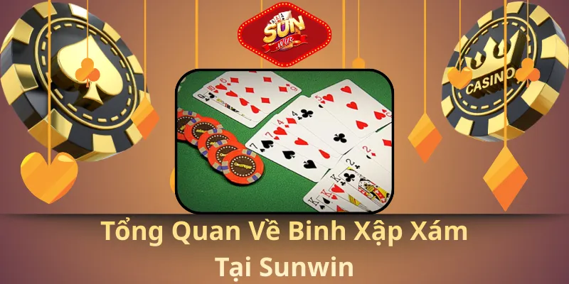 Tổng quan về binh xập xám